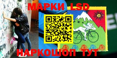 ПСИЛОЦИБИНОВЫЕ ГРИБЫ Донской