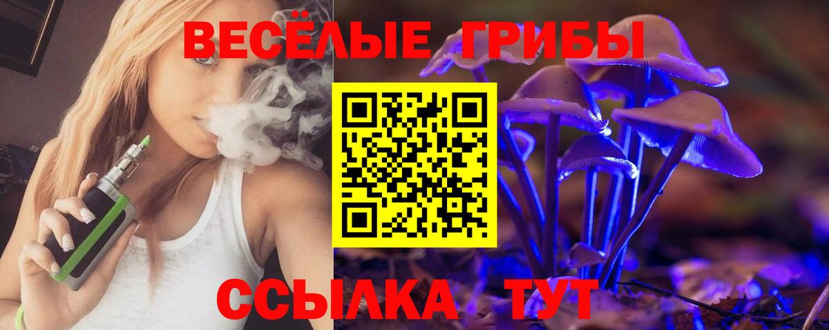 Отрадный  Псилоцибиновые грибы Psilocybine cubensis  Вход с VPN 